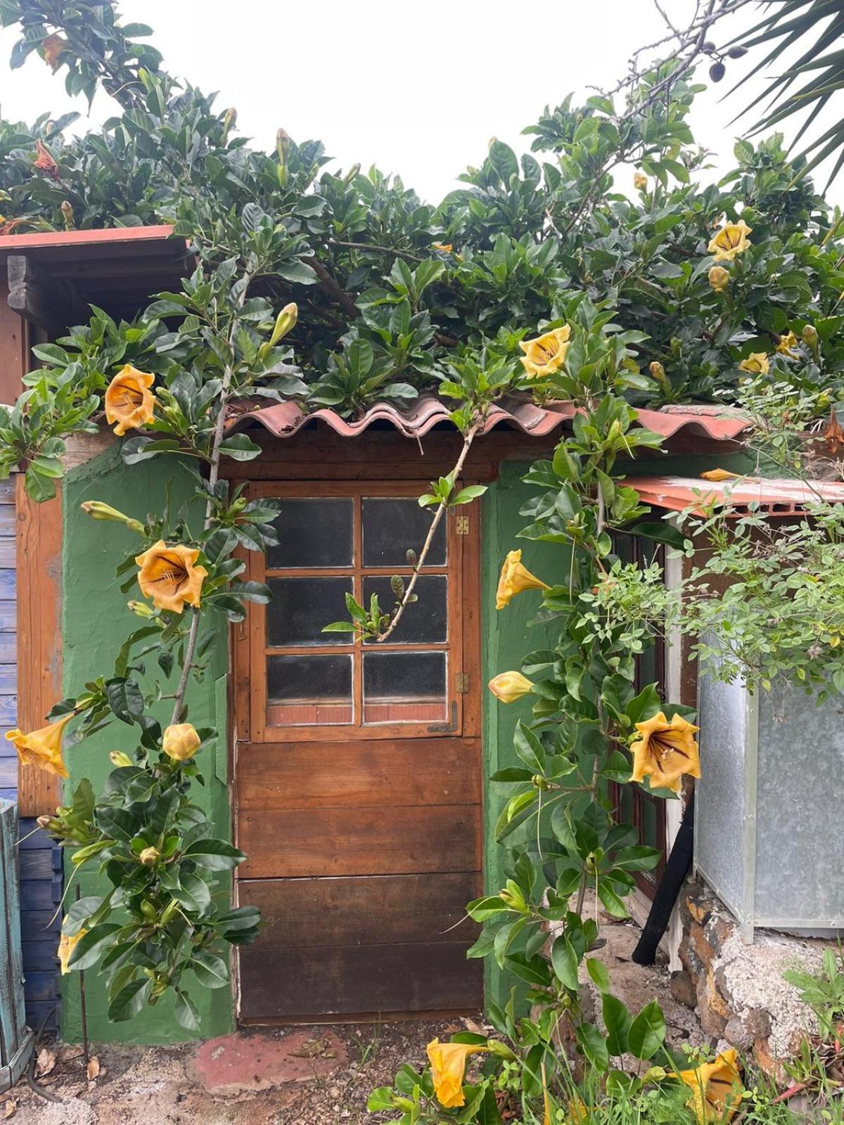 Bed and Breakfast Abracaribes Arecida Exteriér fotografie